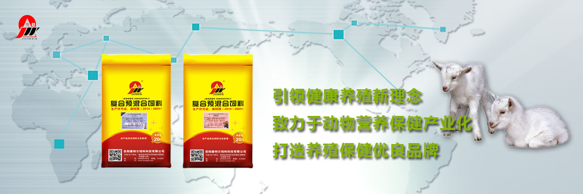 牛羊舔砖